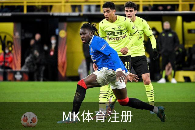 MK体育注册公司简介图片